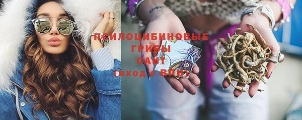 хмурый Иннополис