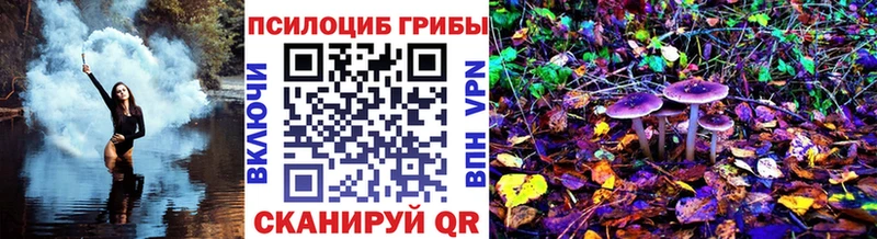 Купить  Котовск  Галлюциногенные грибы ЛСД 